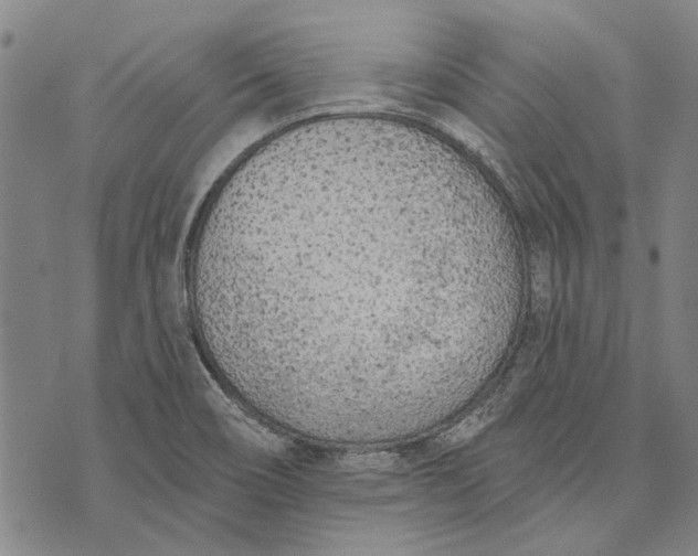 X0000073761466200608241400