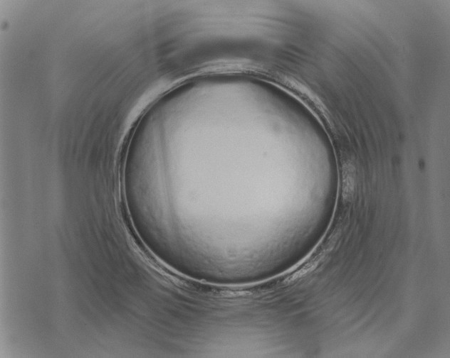 X0000073761467200608241400