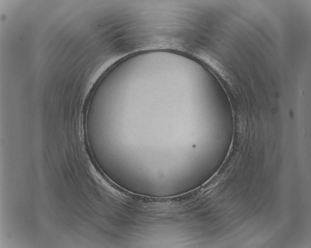 X0000073761468200608241400