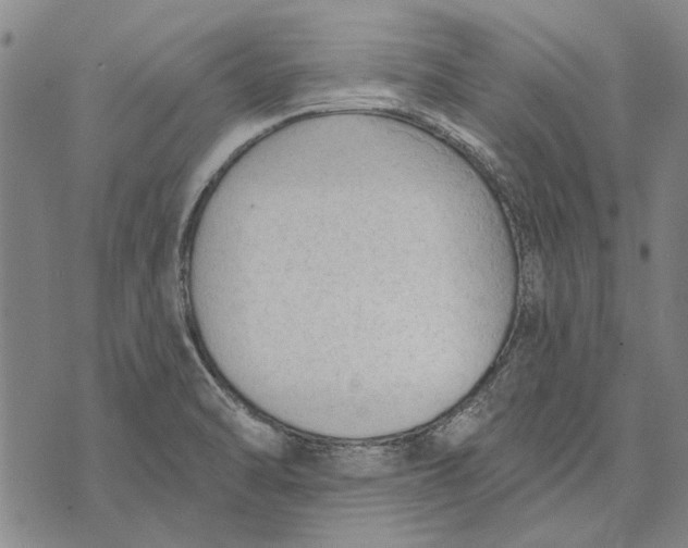 X0000073761470200608241400