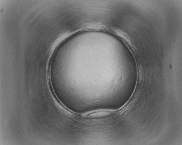 X0000073761471200608241400