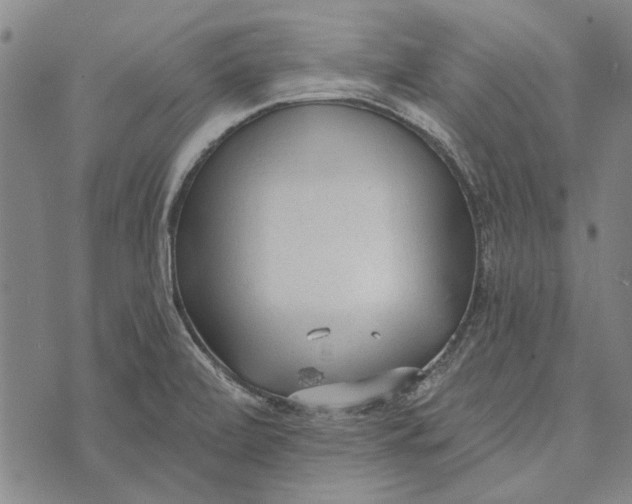 X0000073761472200608241400