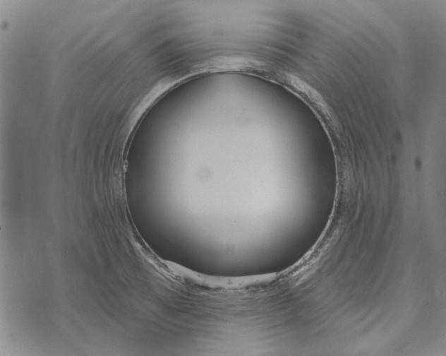 X0000073761473200608241400