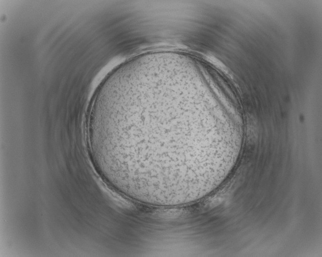 X0000073761474200608241400