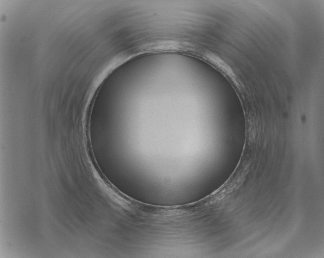 X0000073761475200608241359