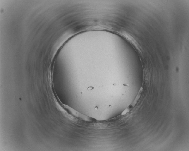 X0000073761476200608241359