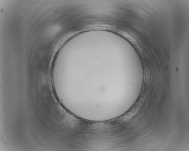 X0000073761478200608241359