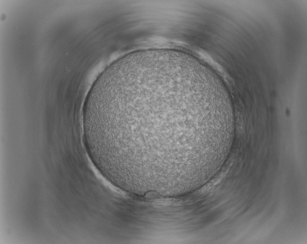 X0000073761479200608241359