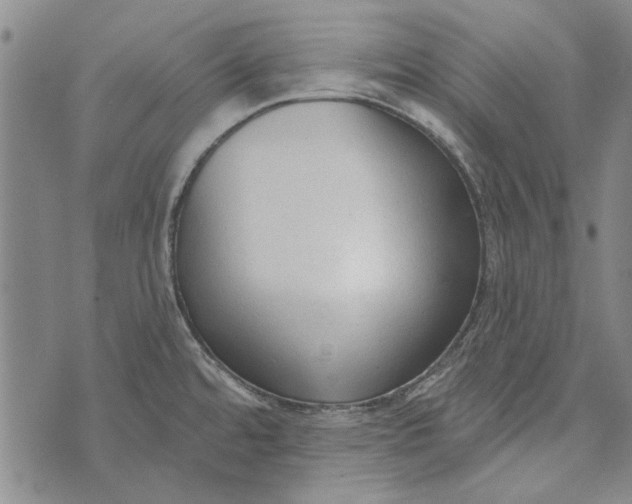 X0000073761480200608241359