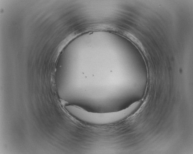 X0000073761481200608241359