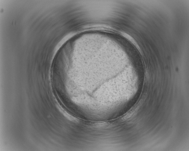 X0000073761482200608241359