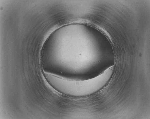 X0000073761483200608241359