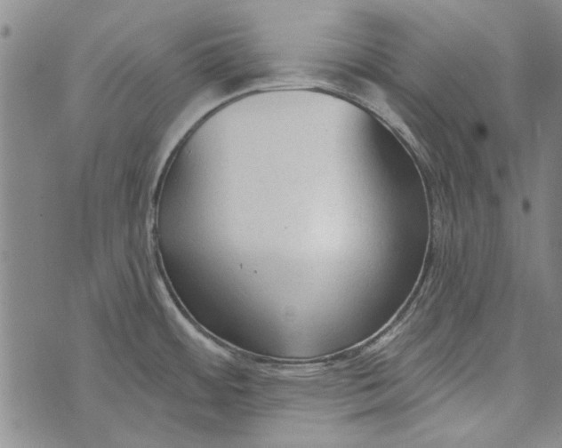 X0000073761484200608241359