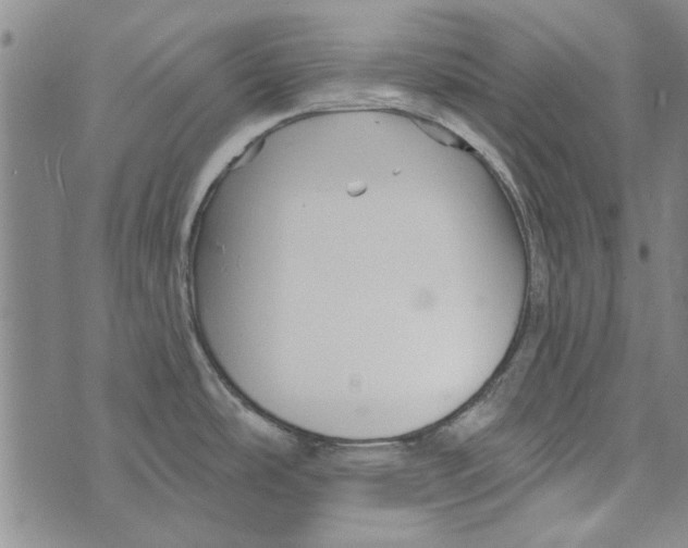 X0000073761486200608241359