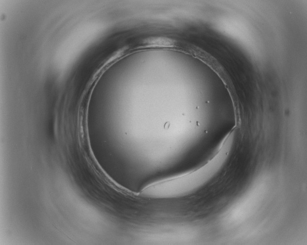 X0000073761487200608241359