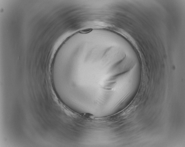 X0000073761488200608241359