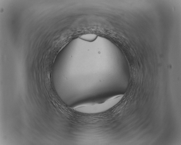 X0000073761489200608241359