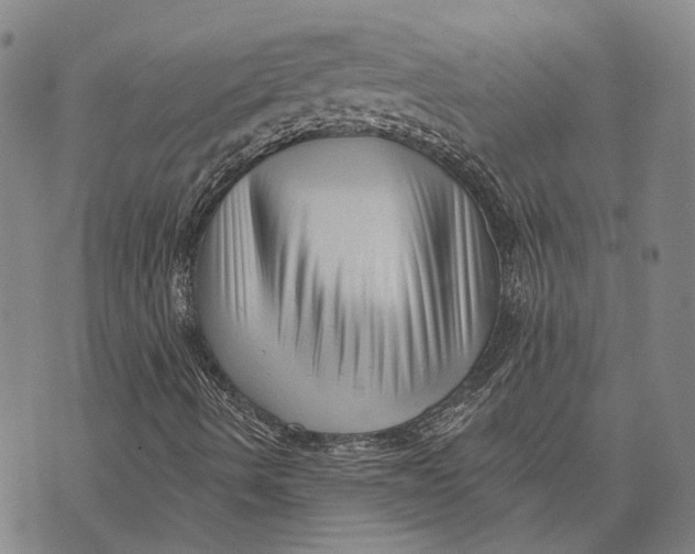 X0000073761490200608241359