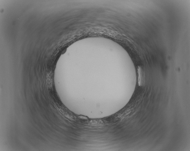 X0000073761491200608241359