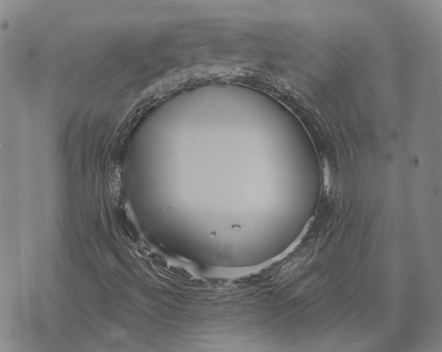 X0000073761492200608241359