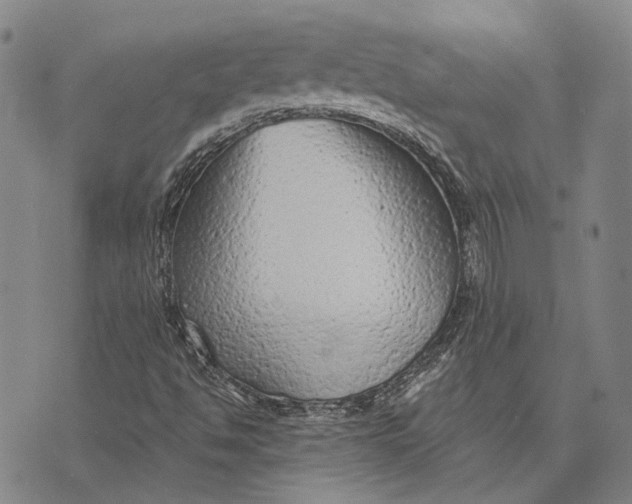 X0000073761494200608241359