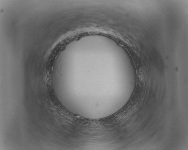 X0000073761495200608241359