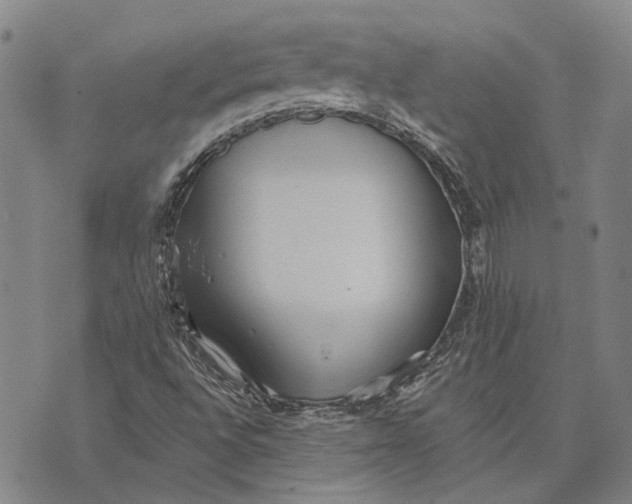 X0000073761496200608241359