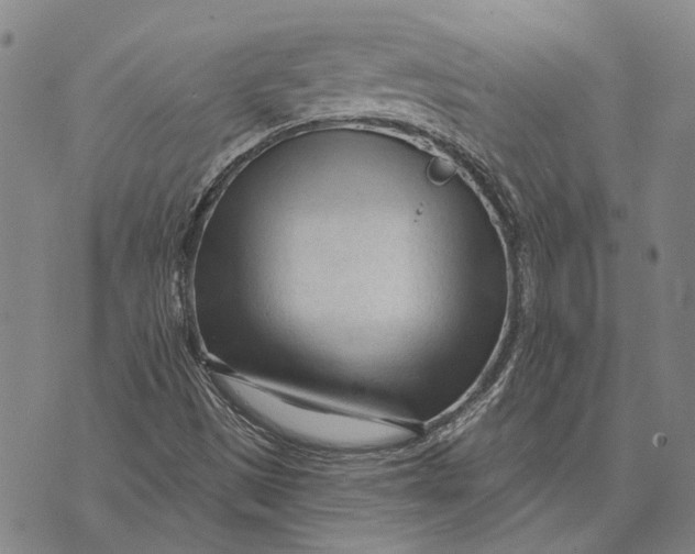 X0000073761497200608241359