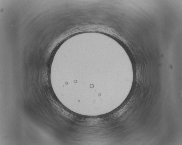 X0000073761498200608241359