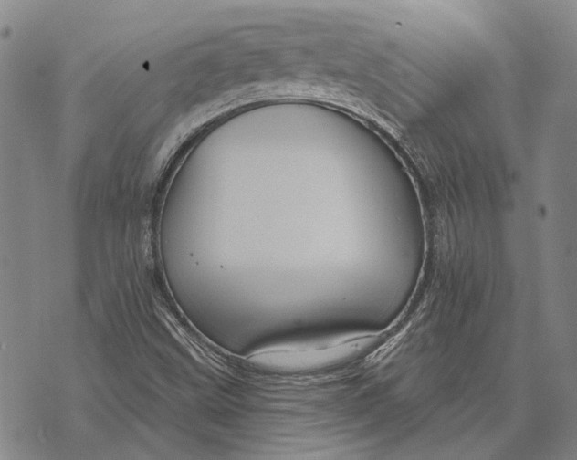 X0000073761499200608241359