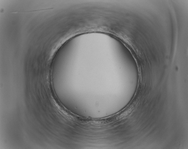 X0000073761500200608241359