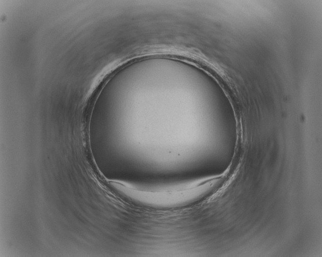 X0000073761501200608241359