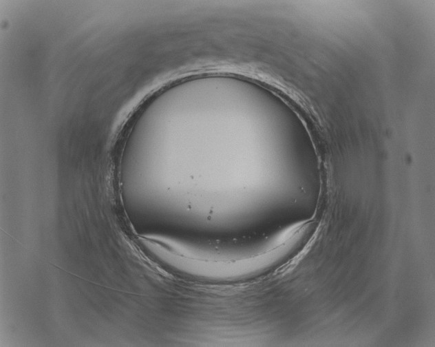 X0000073761502200608241359