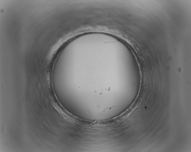 X0000073761503200608241359