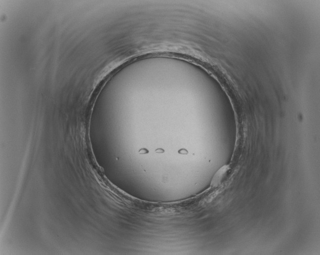 X0000073761505200608241359