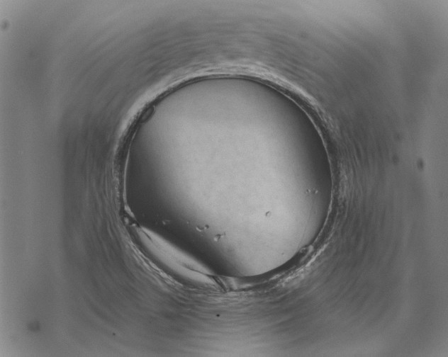 X0000073761506200608241359