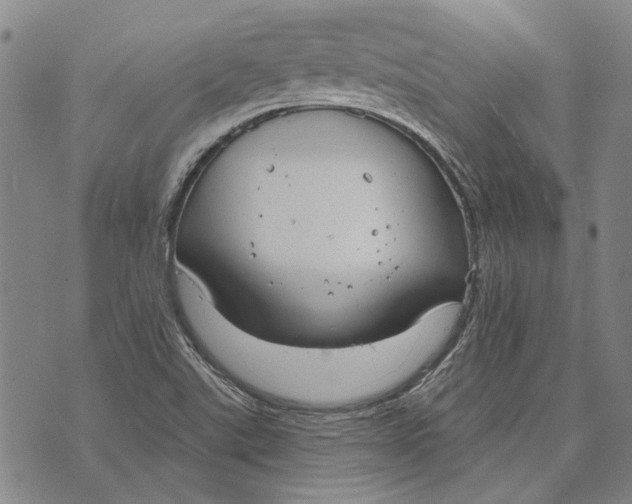 X0000073761507200608241359