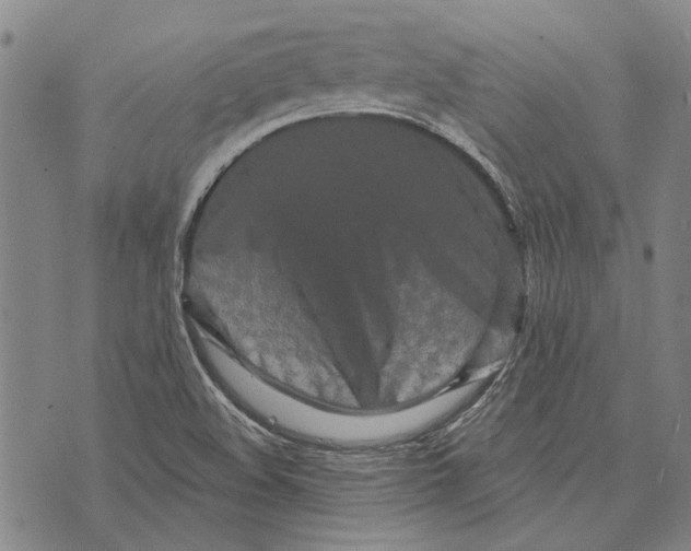 X0000073761508200608241359