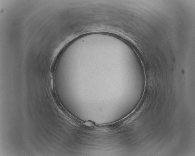 X0000073761509200608241359