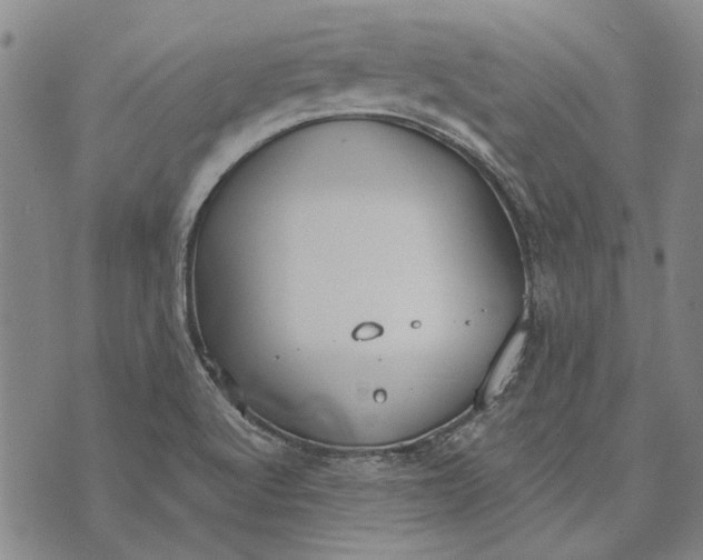 X0000073761512200608241359