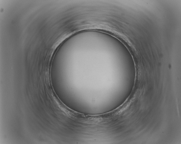 X0000073761513200608241359