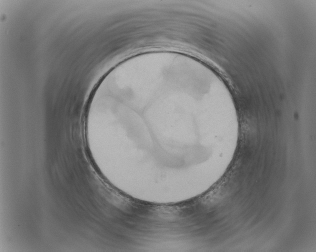 X0000073761514200608241359