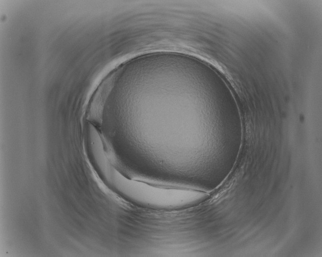 X0000073761515200608241359