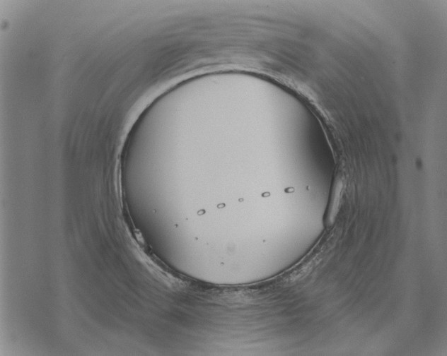 X0000073761516200608241359