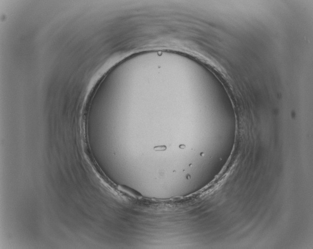 X0000073761517200608241359