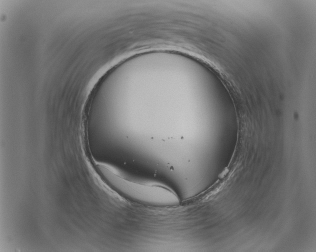 X0000073761518200608241359