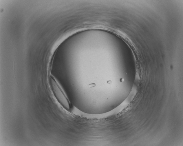 X0000073761520200608241359