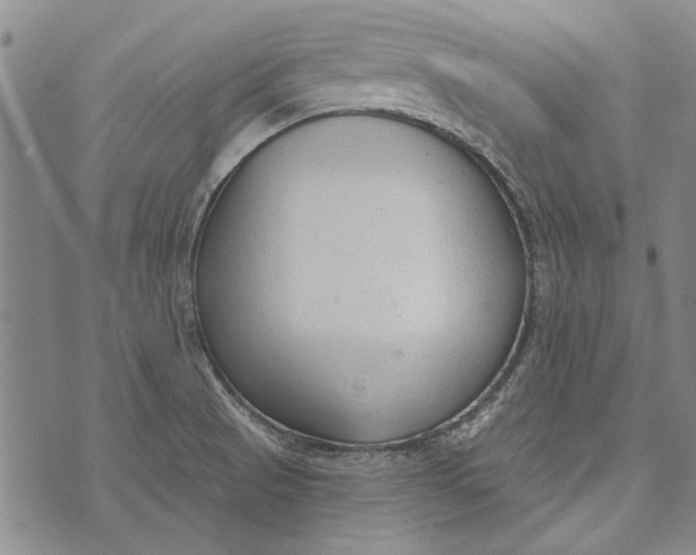 X0000073761521200608241359