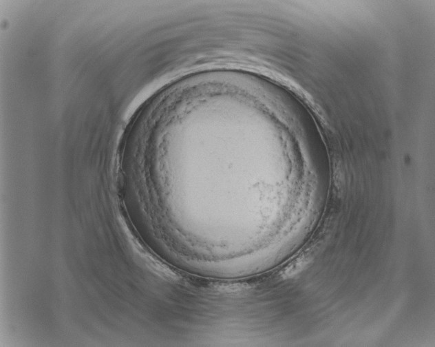 X0000073761522200608241359