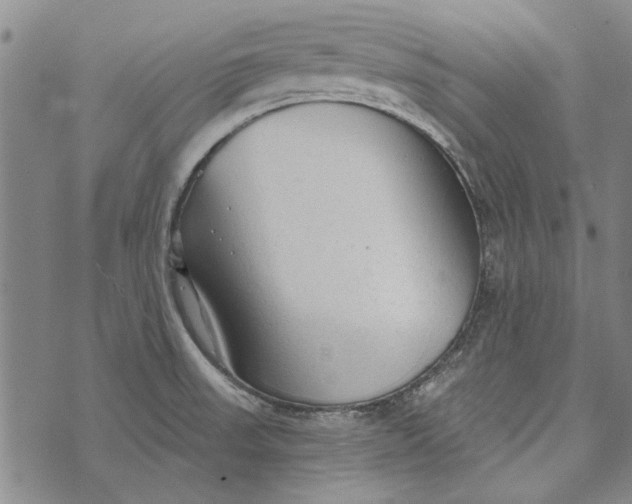 X0000073761523200608241359